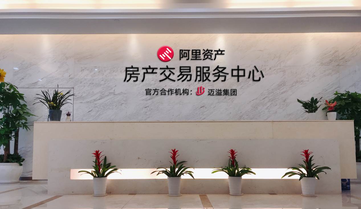 迈溢集团专业团队工作场景